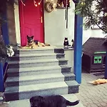 Prázdninový dům Cat Stone Pisz