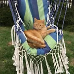 Prázdninový dům Cat Stone Pisz