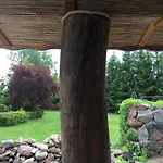 Cat Stone