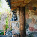 Cat Stone