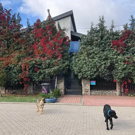 Cat Stone Casa vacanze *