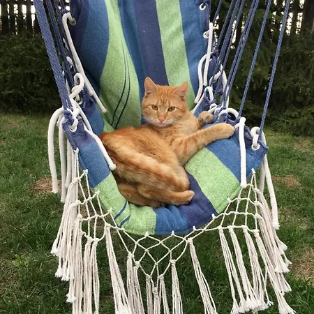Casa vacanze Cat Stone Pisz