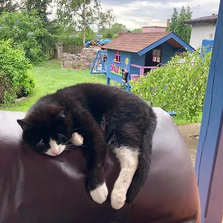 Ferienhaus Cat Stone Pisz