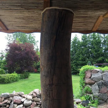 Cat Stone