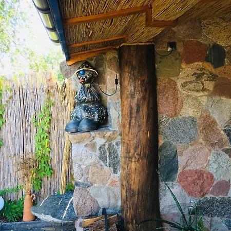 Cat Stone