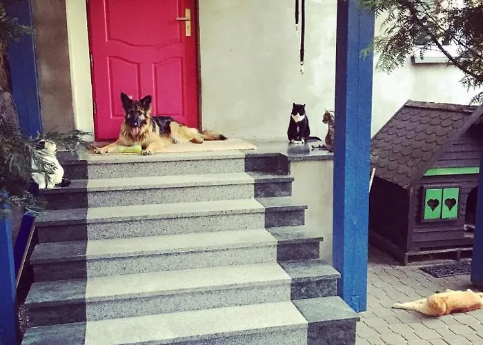 Дом отдыха Cat Stone Пиш