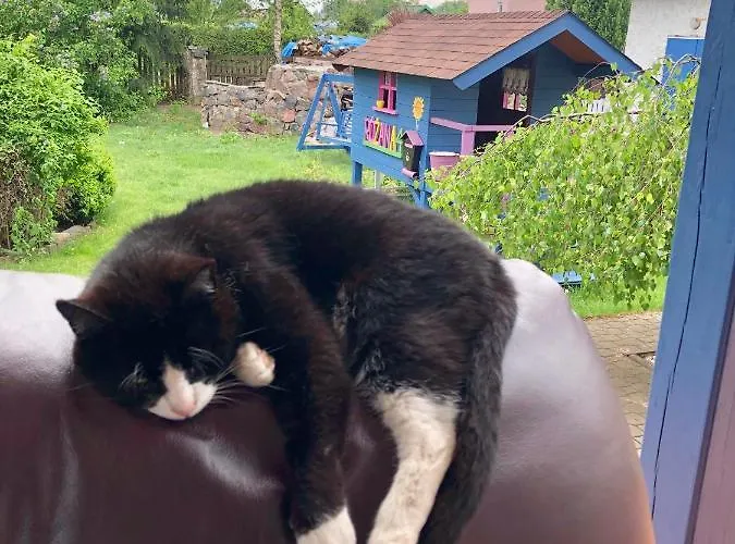 Casa de Férias Cat Stone Pisz