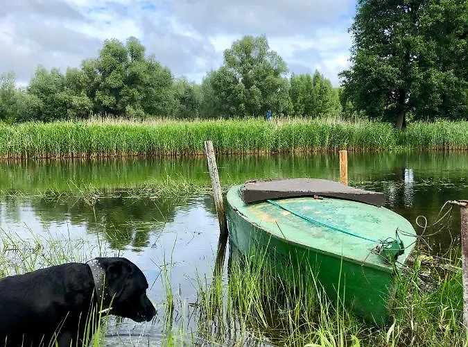 Cat Stone Casa de Férias *